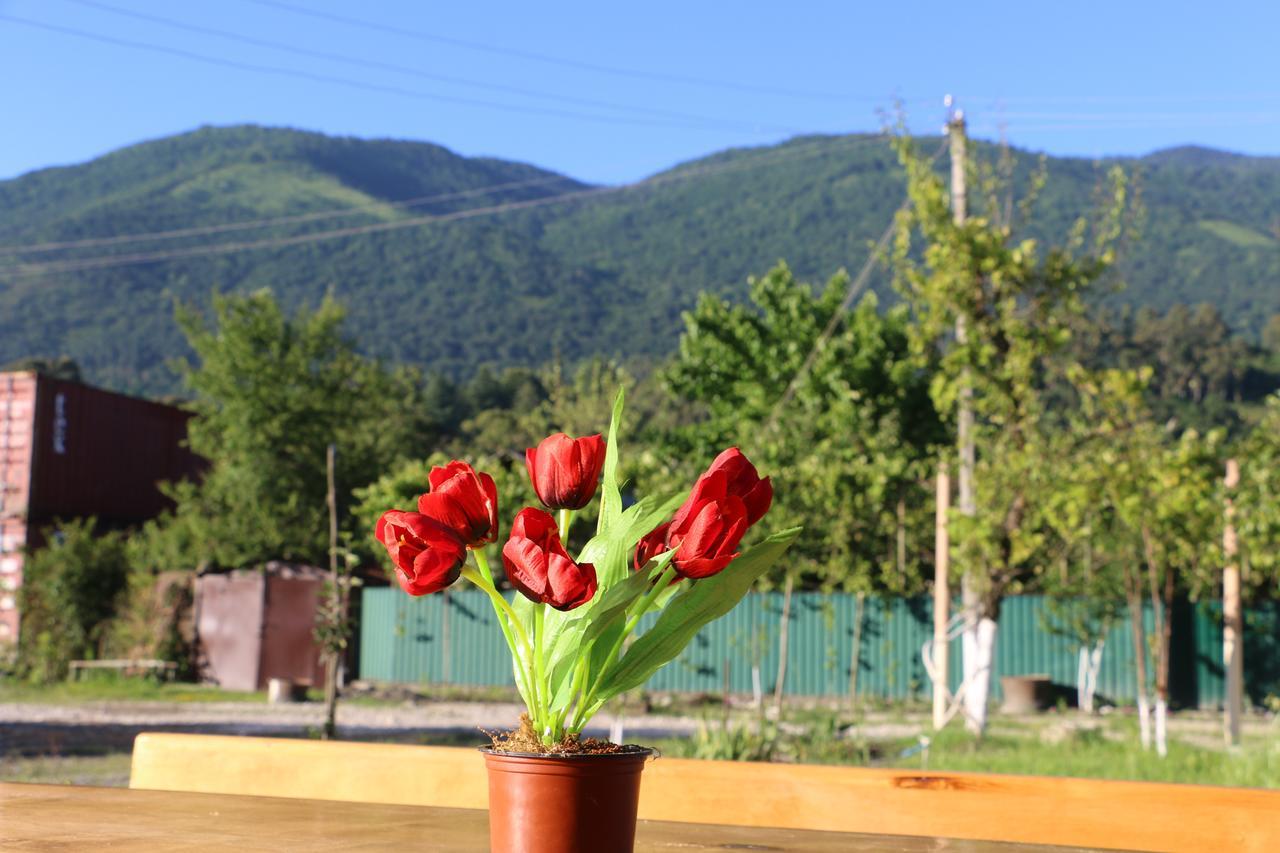 Inn Aхчыпсы Gagra Eksteriør billede